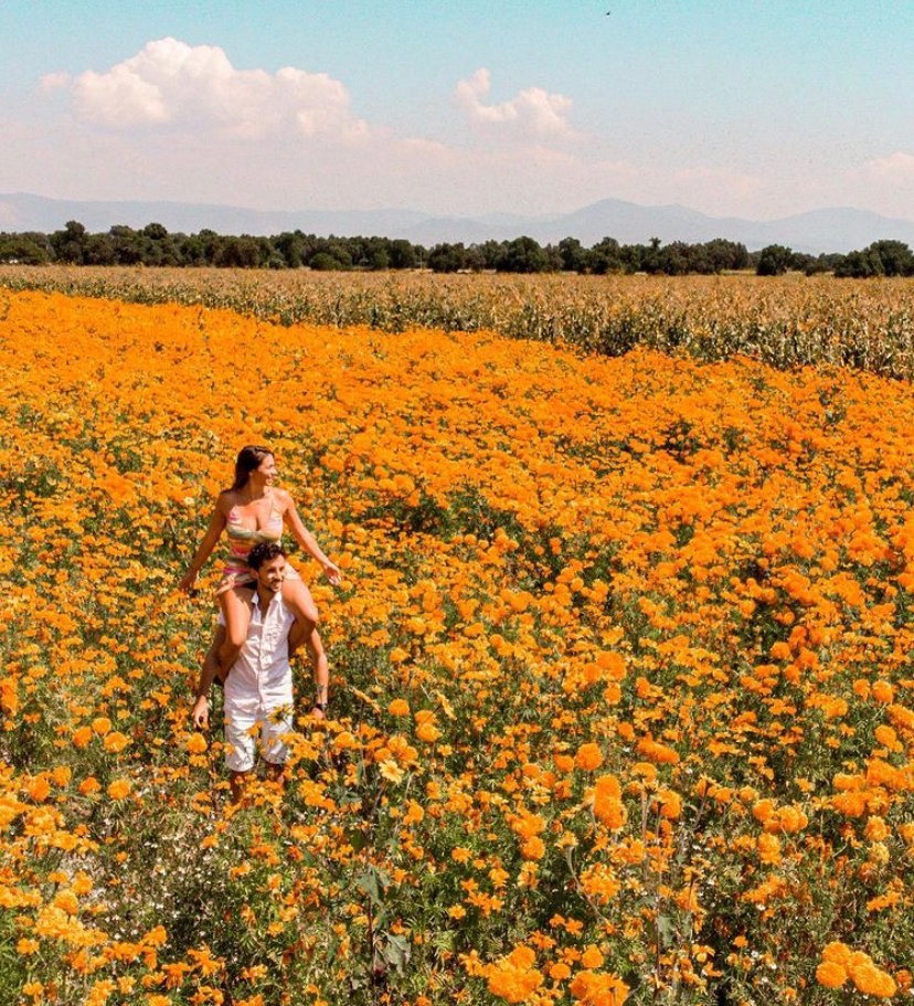 Cempesuchil Fields, Mexico, best places to travel in October