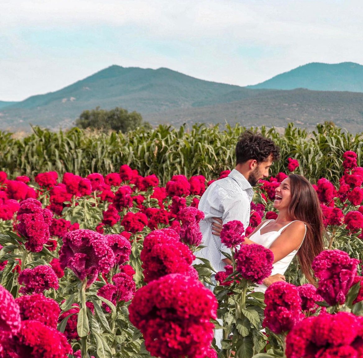 flower fields in Oaxaca, Hidden gems in Mexico