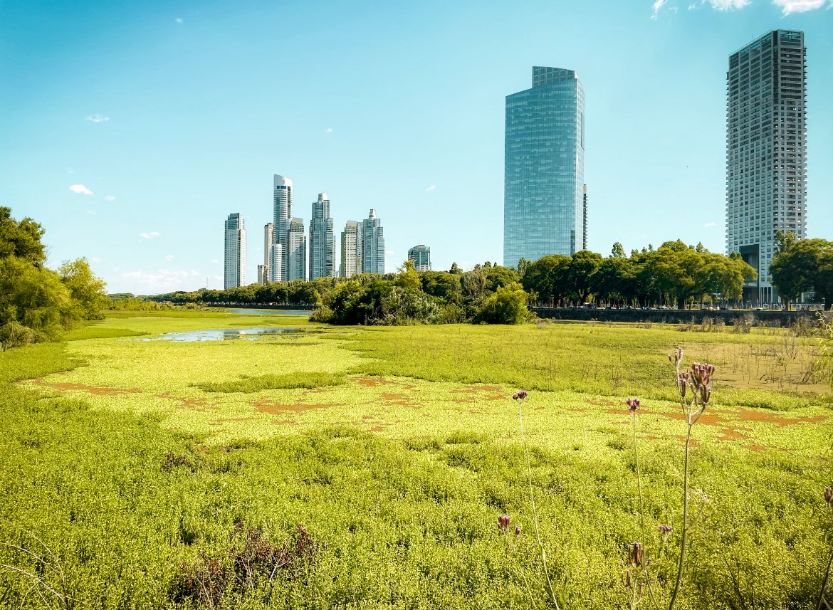 Nature Reserve- things to do in Buenos Aires