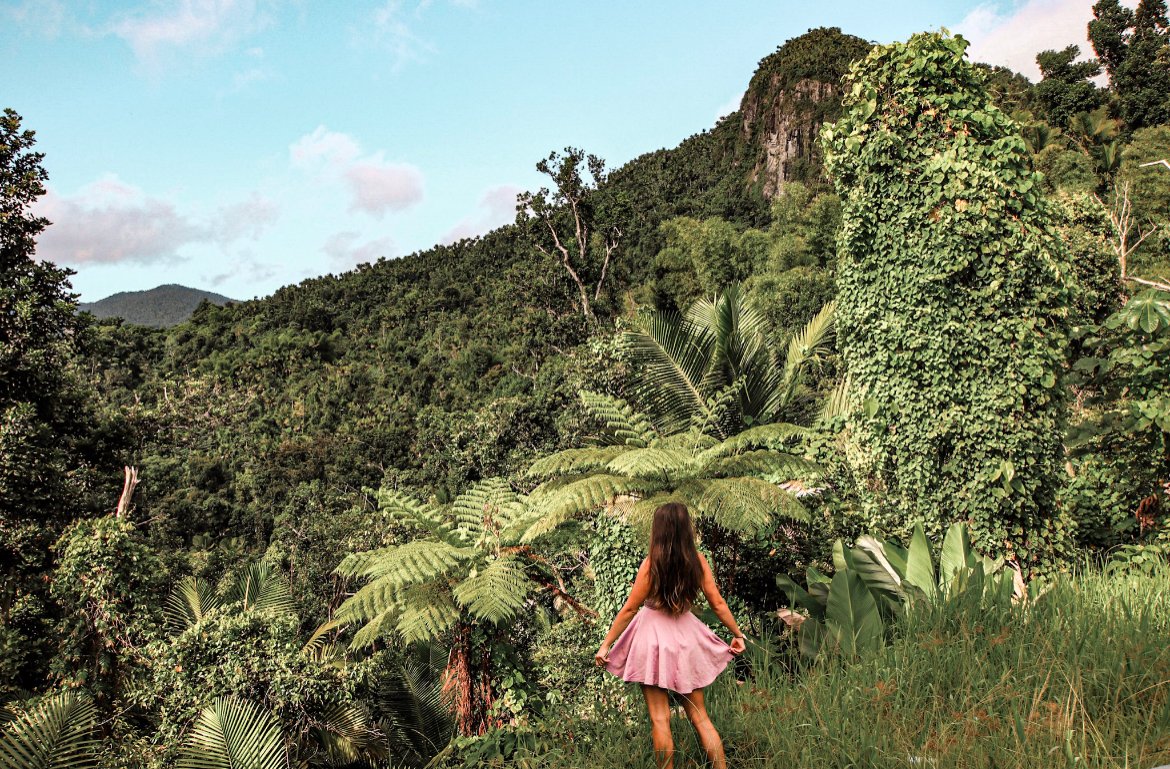 El Yunque, best places to visit in Puerto Rico