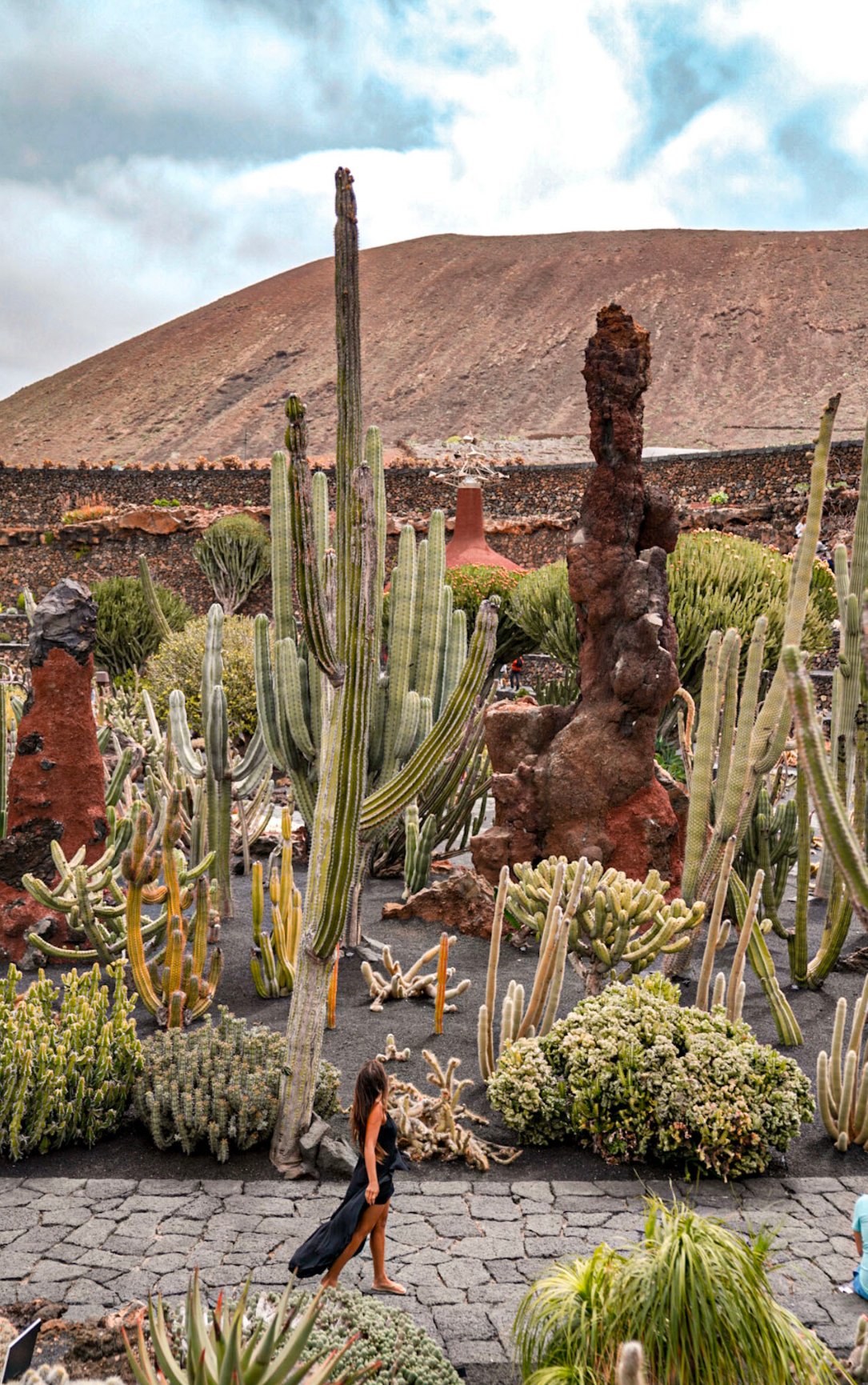 Cactus Garden in Lanzarote in the Canary Islands