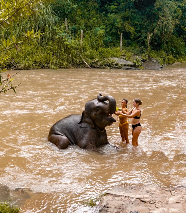 Elephant Sanctuary in Thailand bathing
