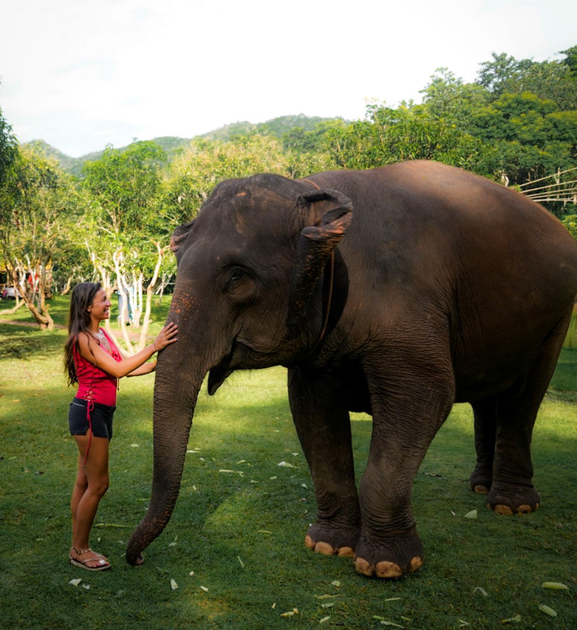 elephant sanctuary in Thailand