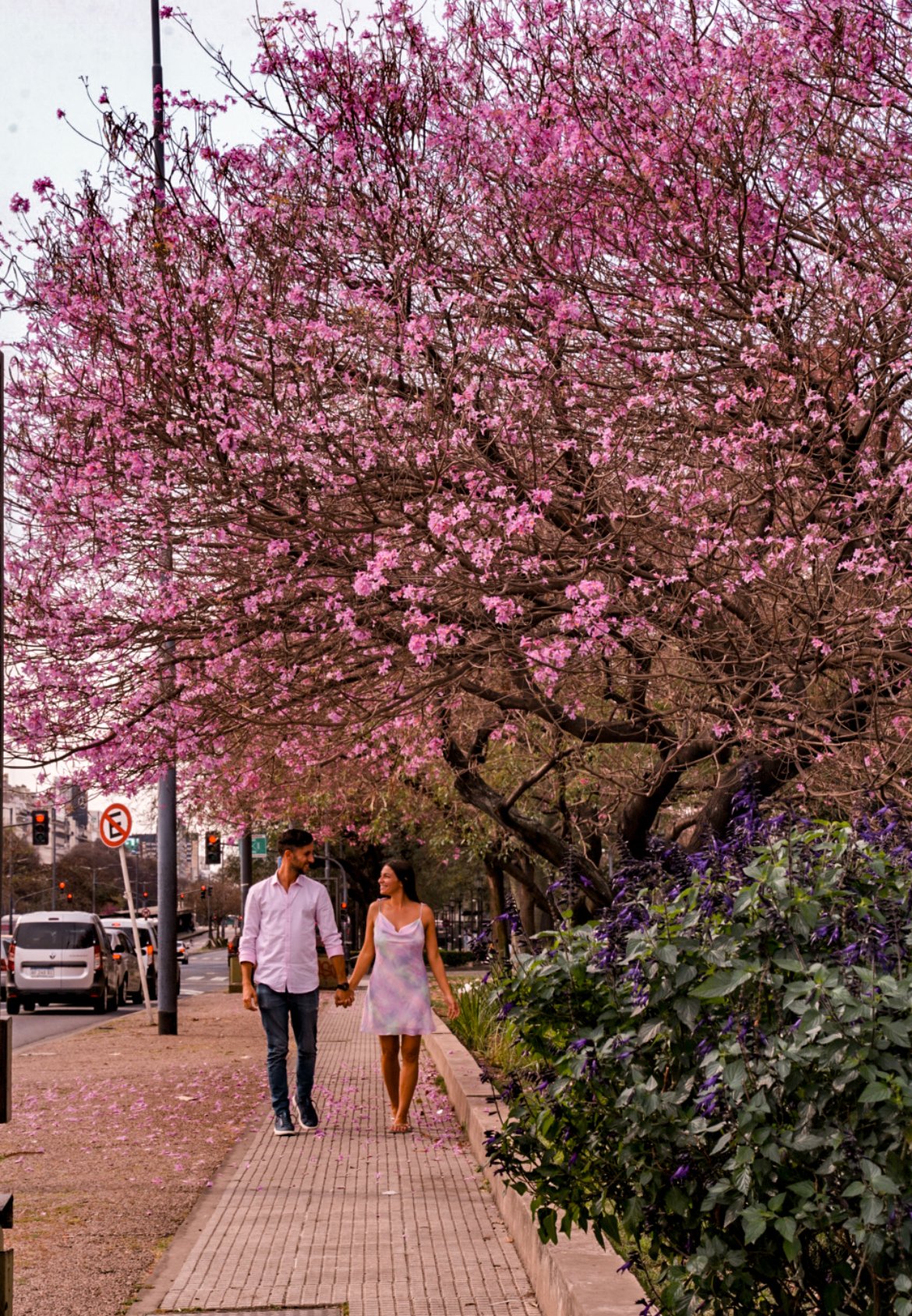 spring in Buenos Aires