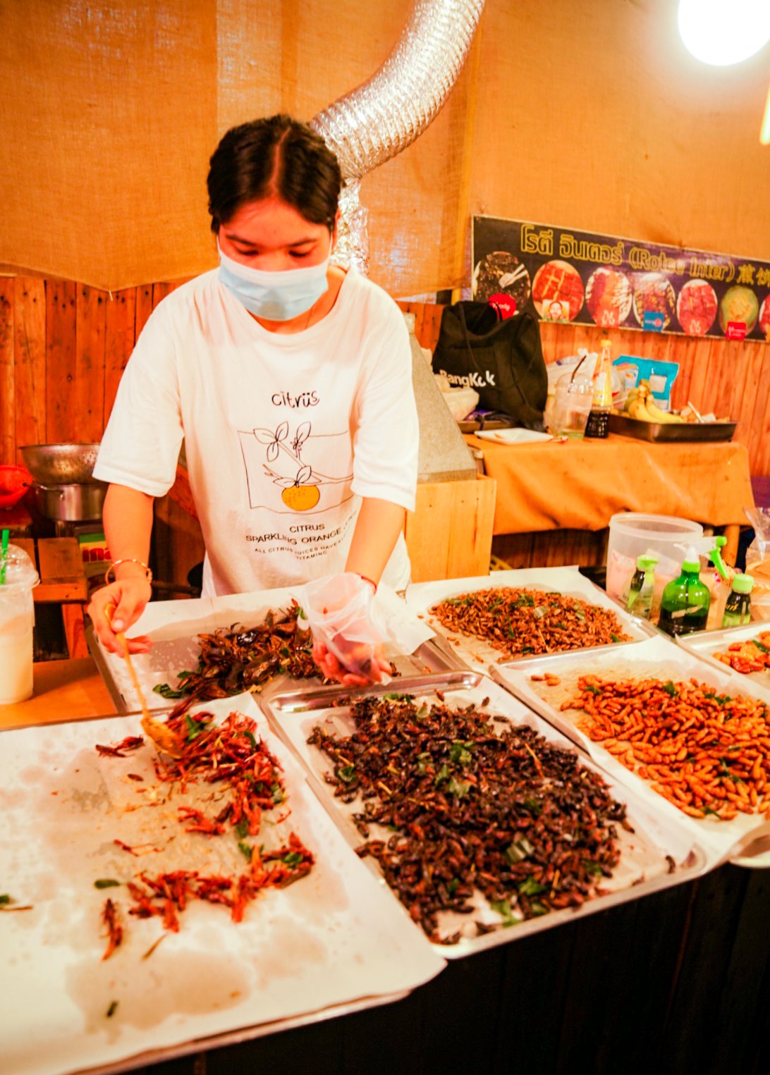 fried insects in Bangkok