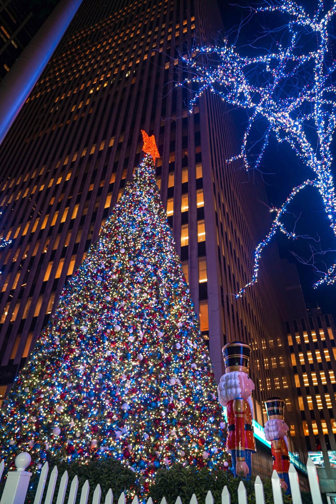 Fox Christmas Tree, Christmas tree lights in NYC