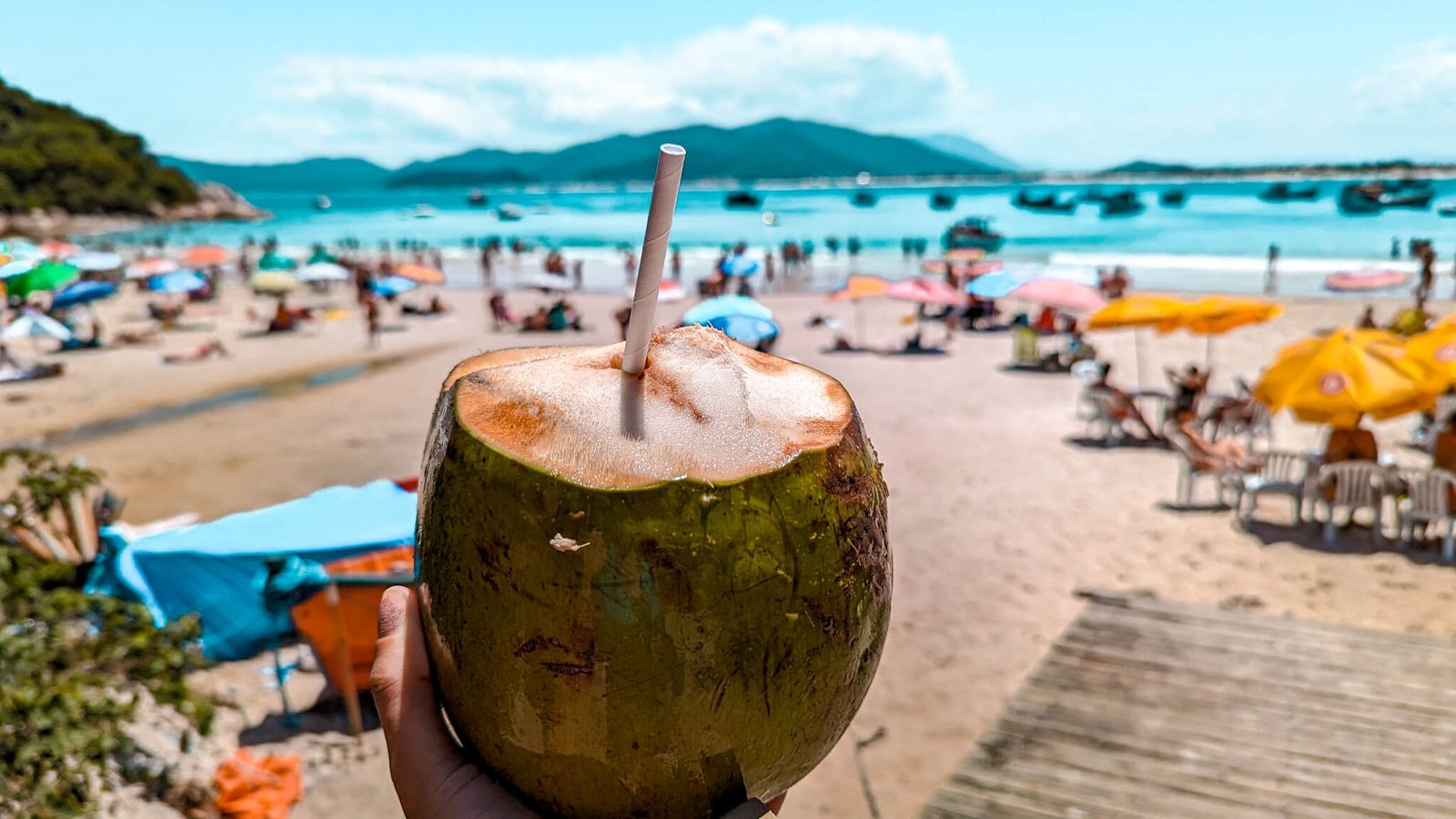 coconuts, island of Campeche, Florianopolis 