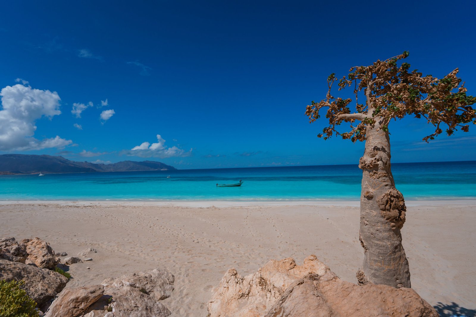 is it worth visiting the island of Socotra in Yemen