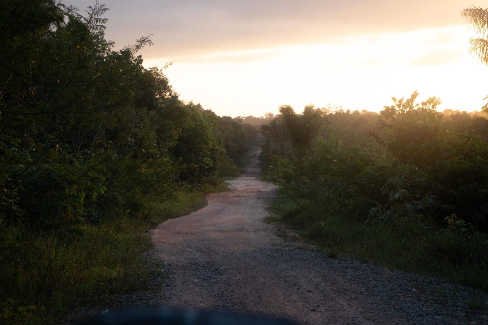 Trail Brownsberg Park, Suriname