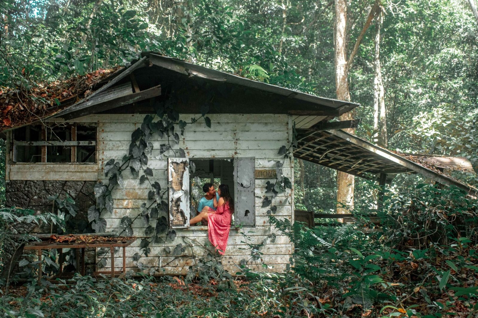 Abandoned House, Brownsburg Park, Suriname