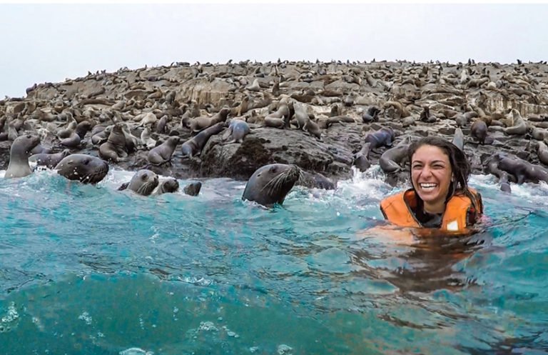 swimming with sea lions, things to do in Lima, Peru