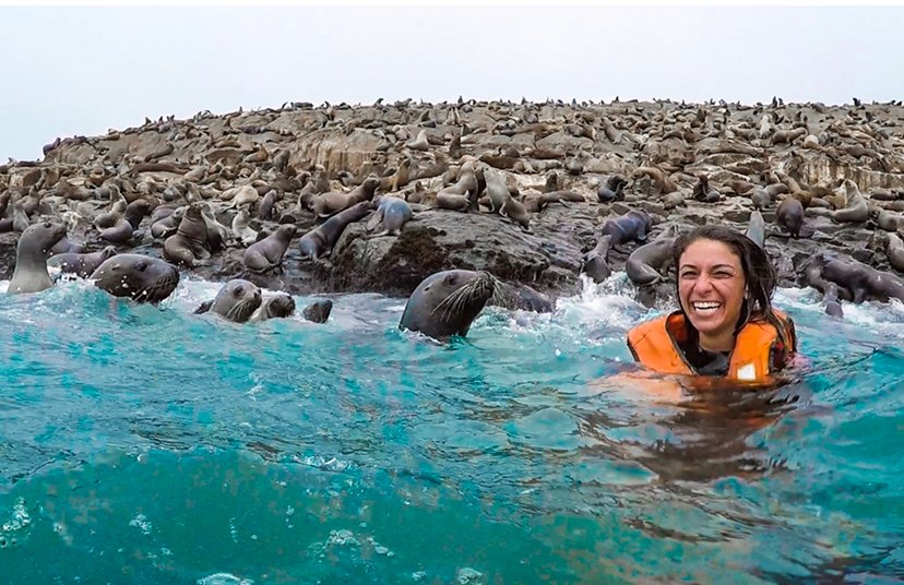 swimming with sea lions in Peru, things to do in Lima.