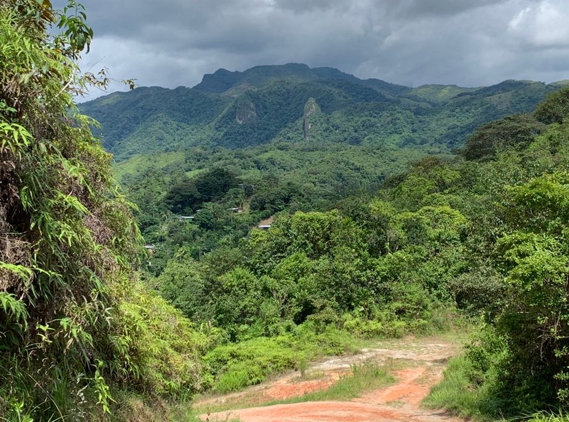 trail to Pozo Azul, Panama