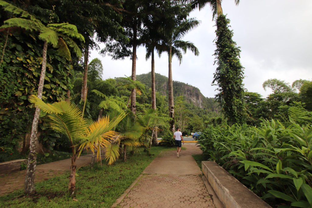 El Yunque, reasons to visit Puerto Rico