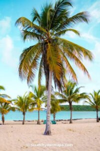 Read more about the article The Best Things to Do in Vieques, Puerto Rico