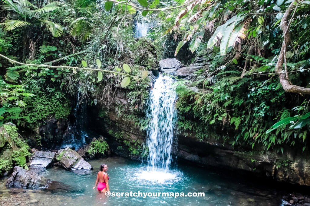 El Yunque waterfalls in Puerto Rico