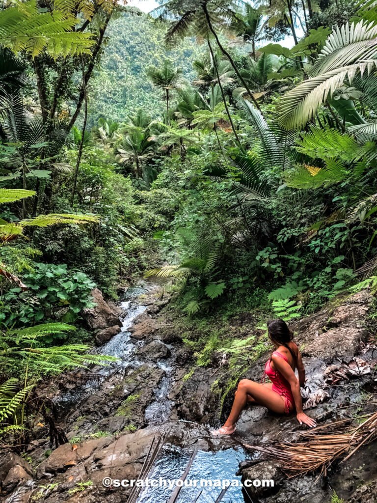 waterfalls in Puerto Rico