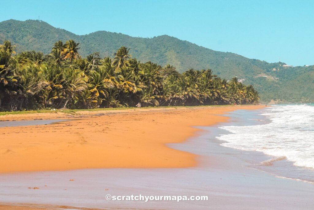 beach in Puerto Rico