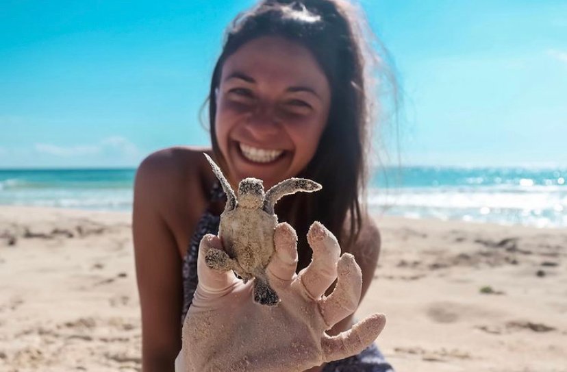 save the sea turtles, experiences in Cozumel Mexico