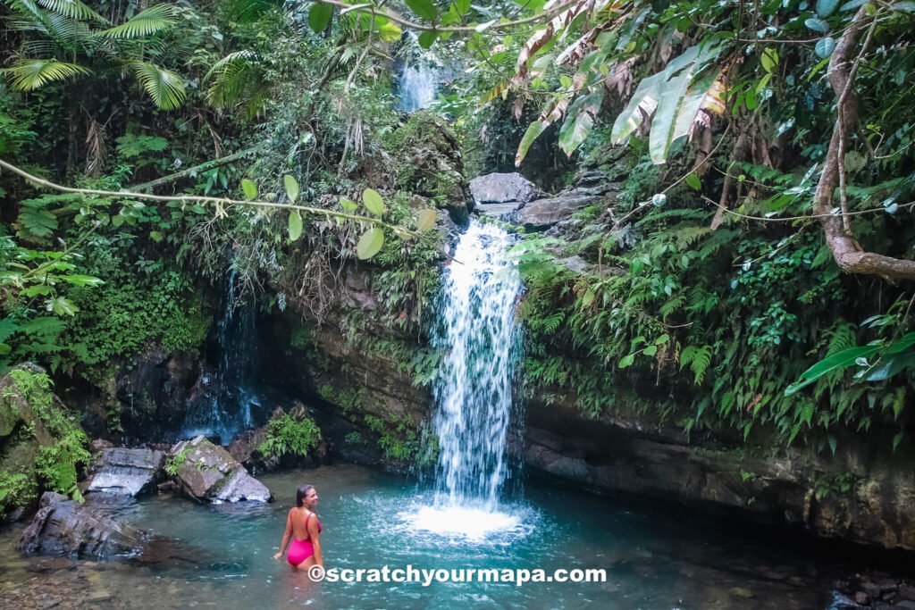 Visit El Yunque Waterfall