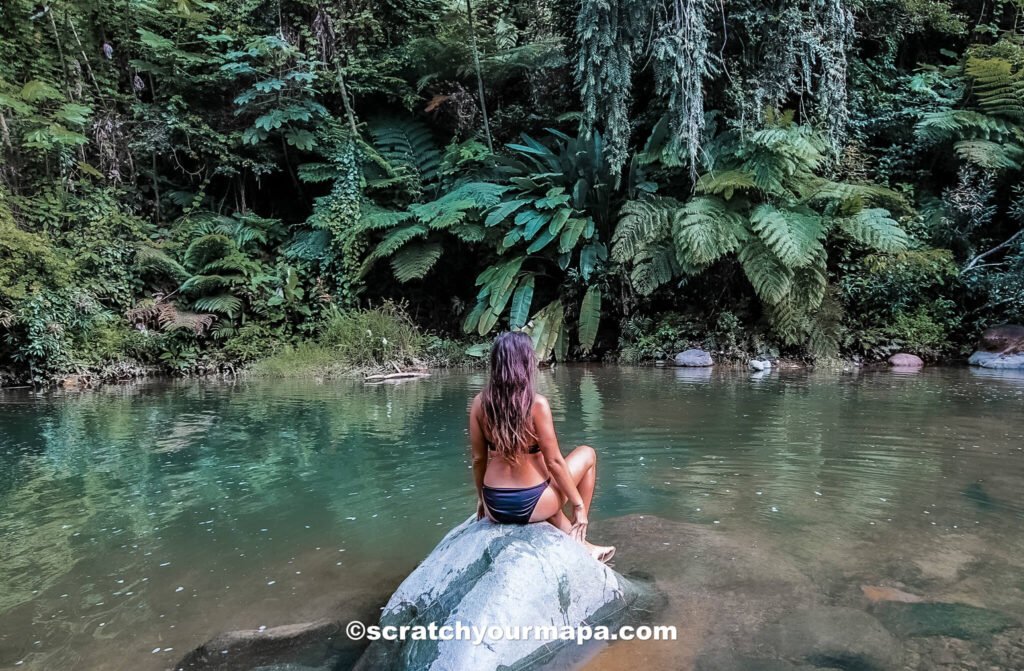 How to get around in Puerto Rico - El Yunque