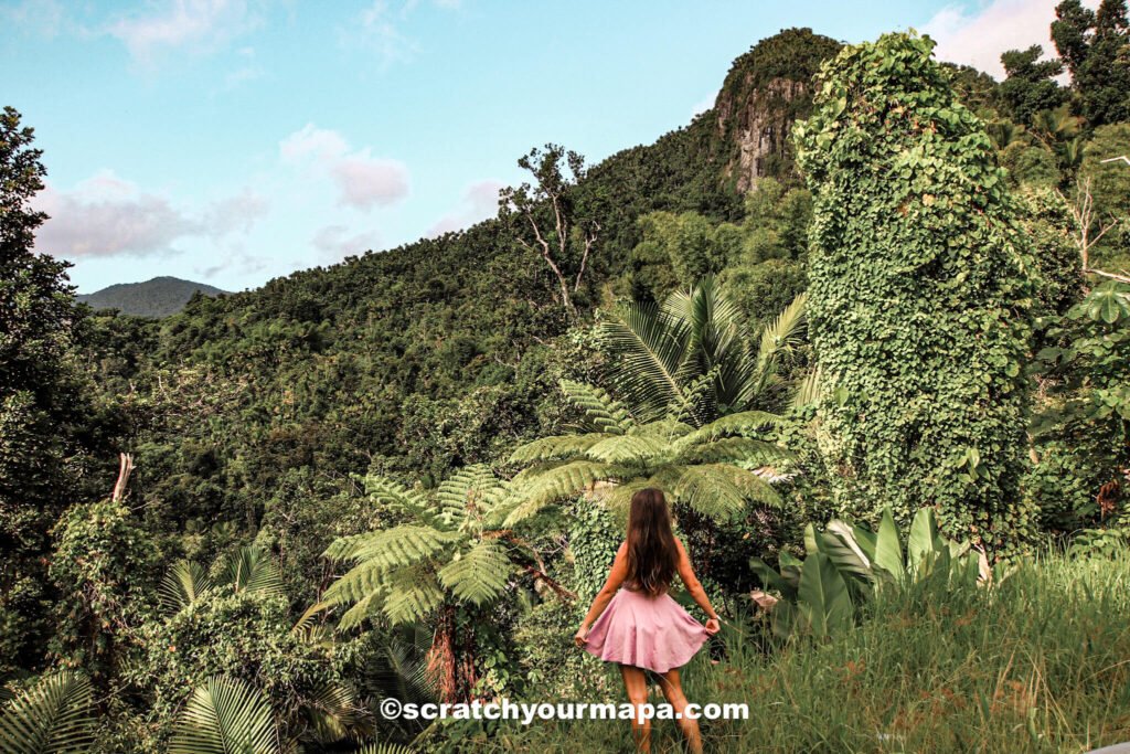 Visit el Yunque Rainforest in Puerto Rico