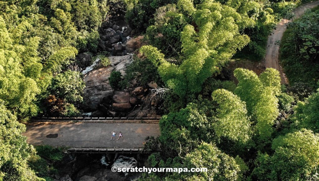 El Yunque - best places to visit in Puerto Rico