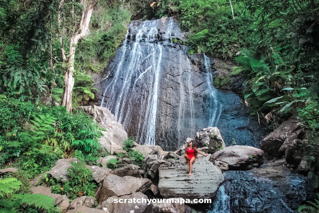 Visit el Yunque, Puerto Rico