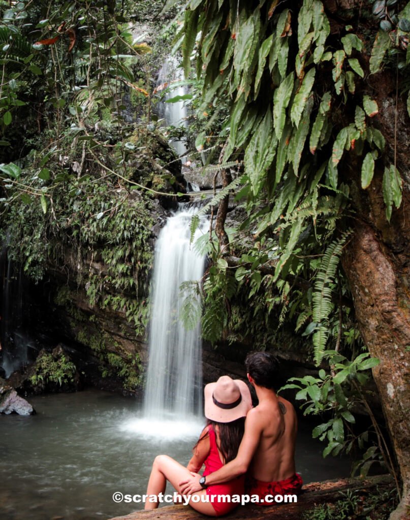 visit El Yunque Rainforest in Puerto Rico