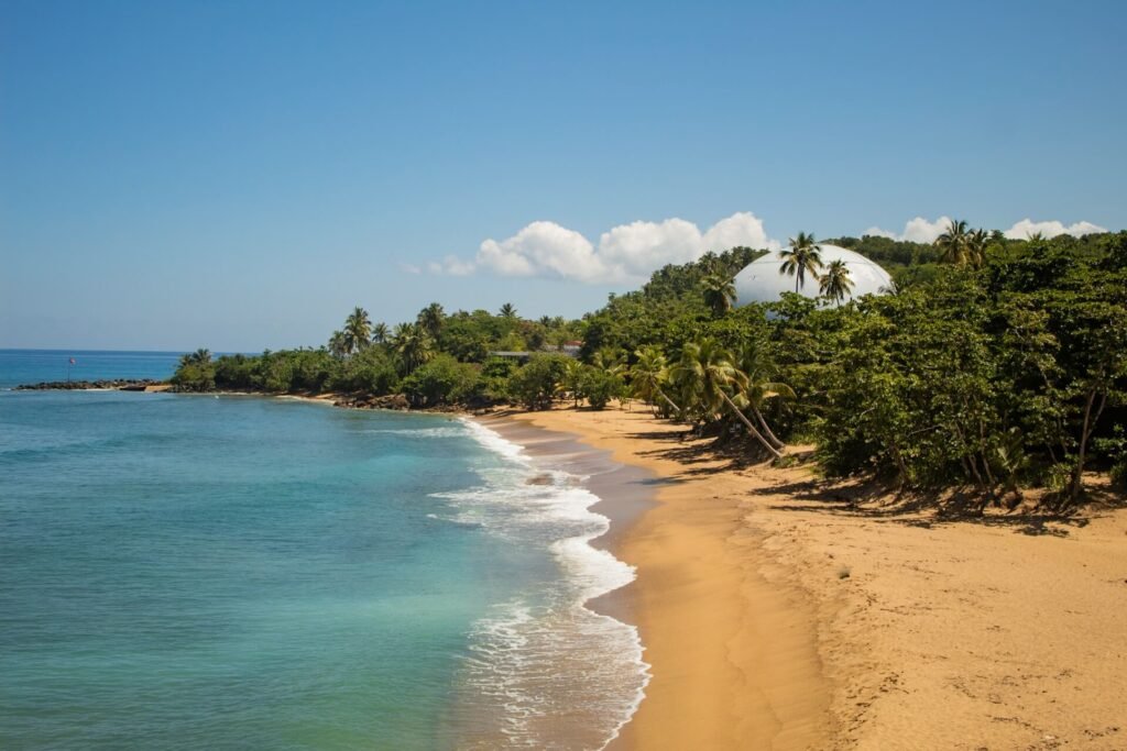 Rincon - best places to visit in Puerto Rico