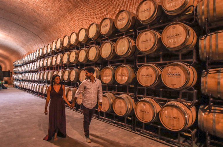 Freixenet winery 2 Queretaro