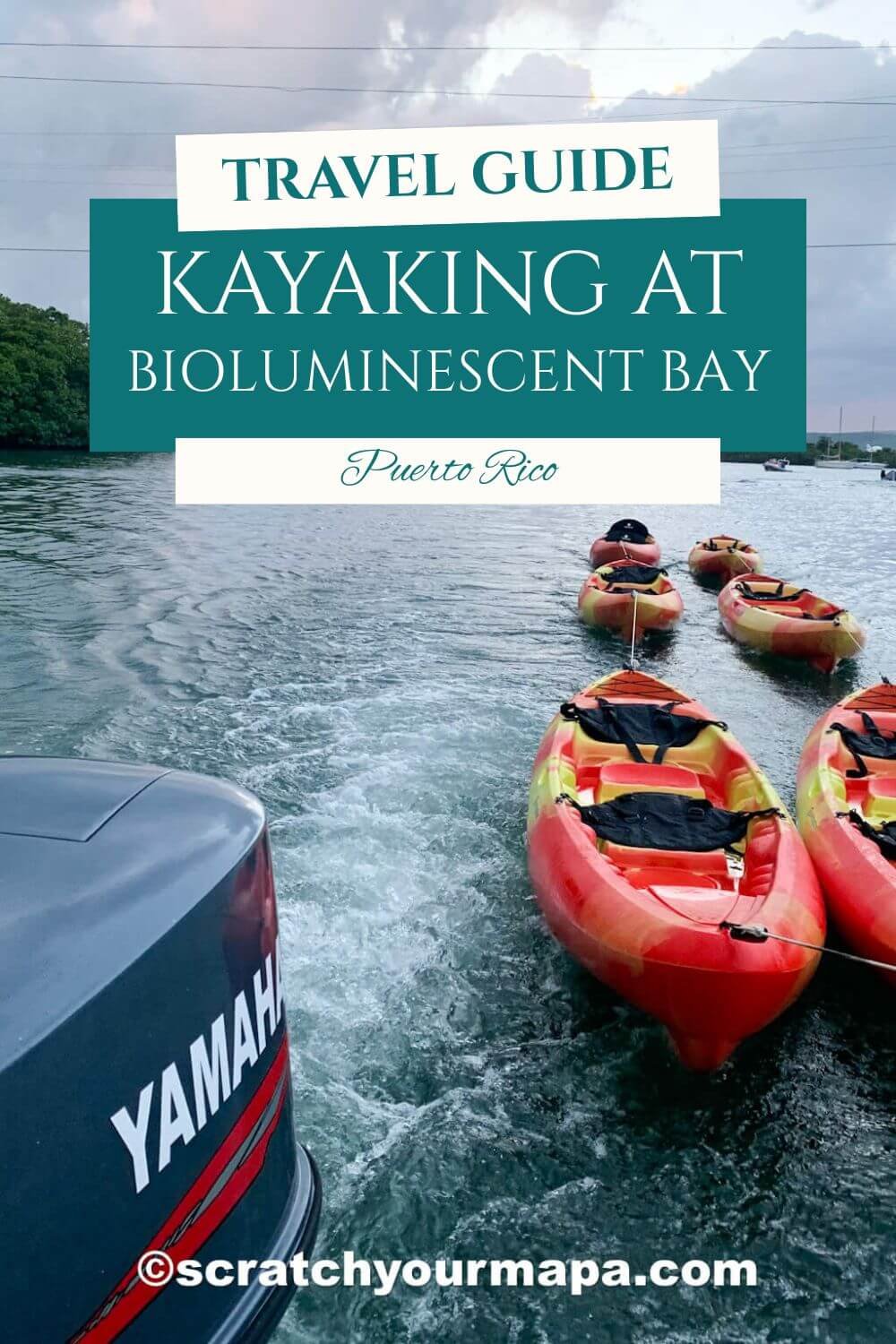 Bioluminescent Bay pin 