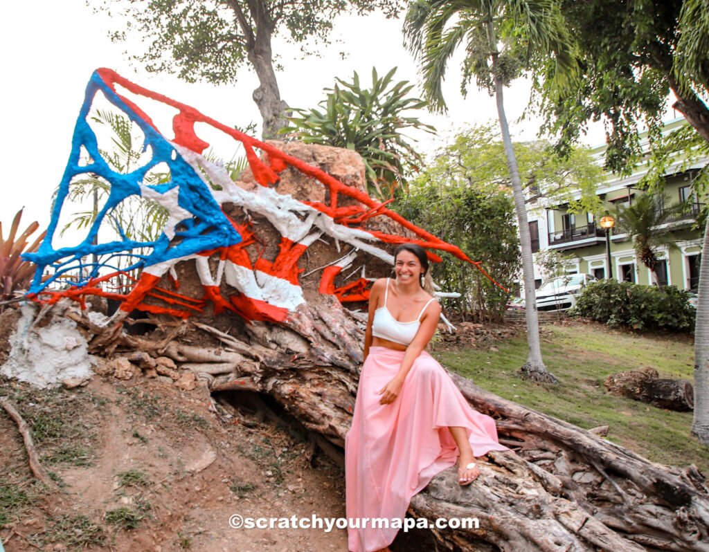 wooden flag art in San Juan Puerto Rico