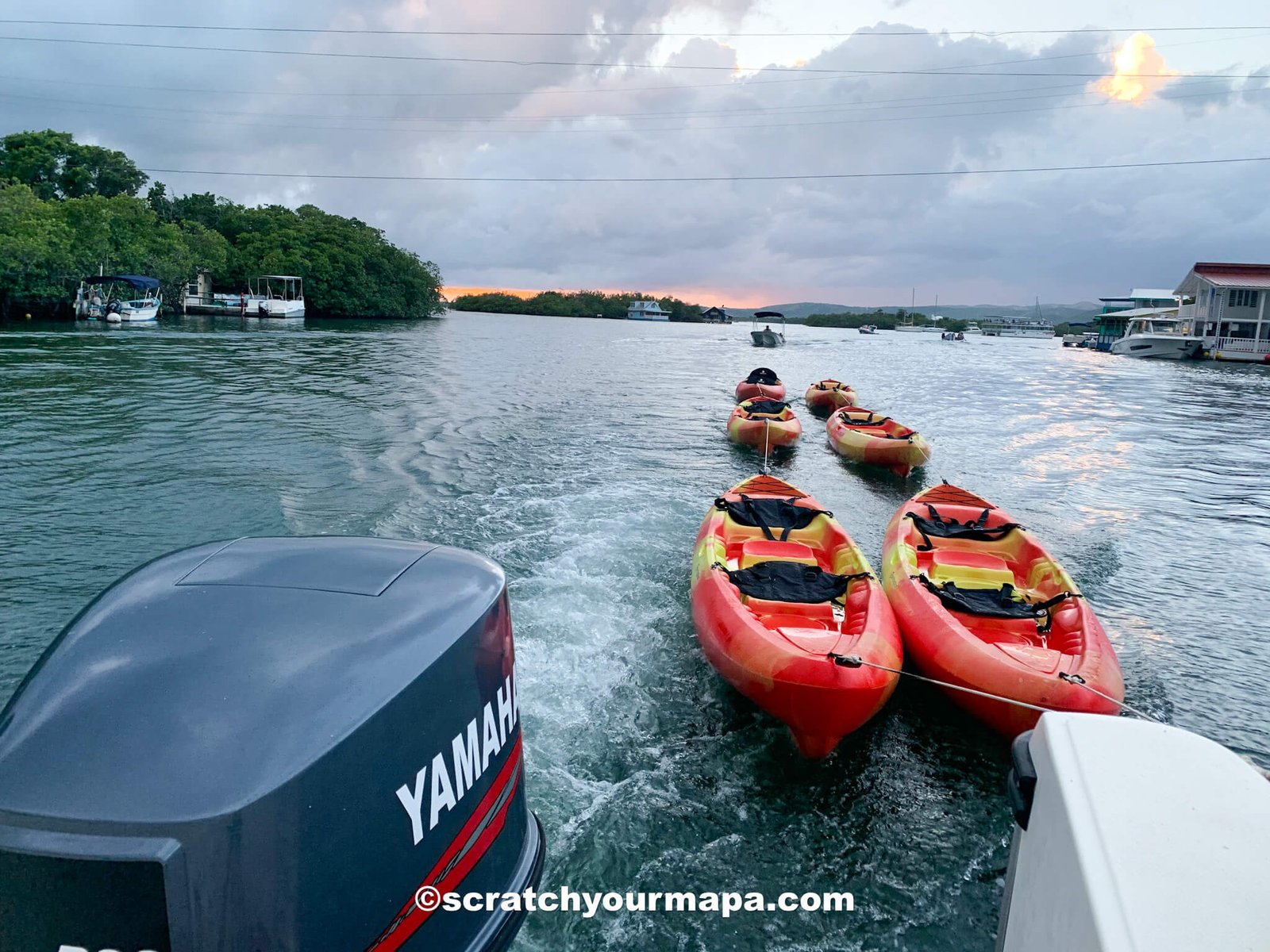 Kayaking in Puerto Rico