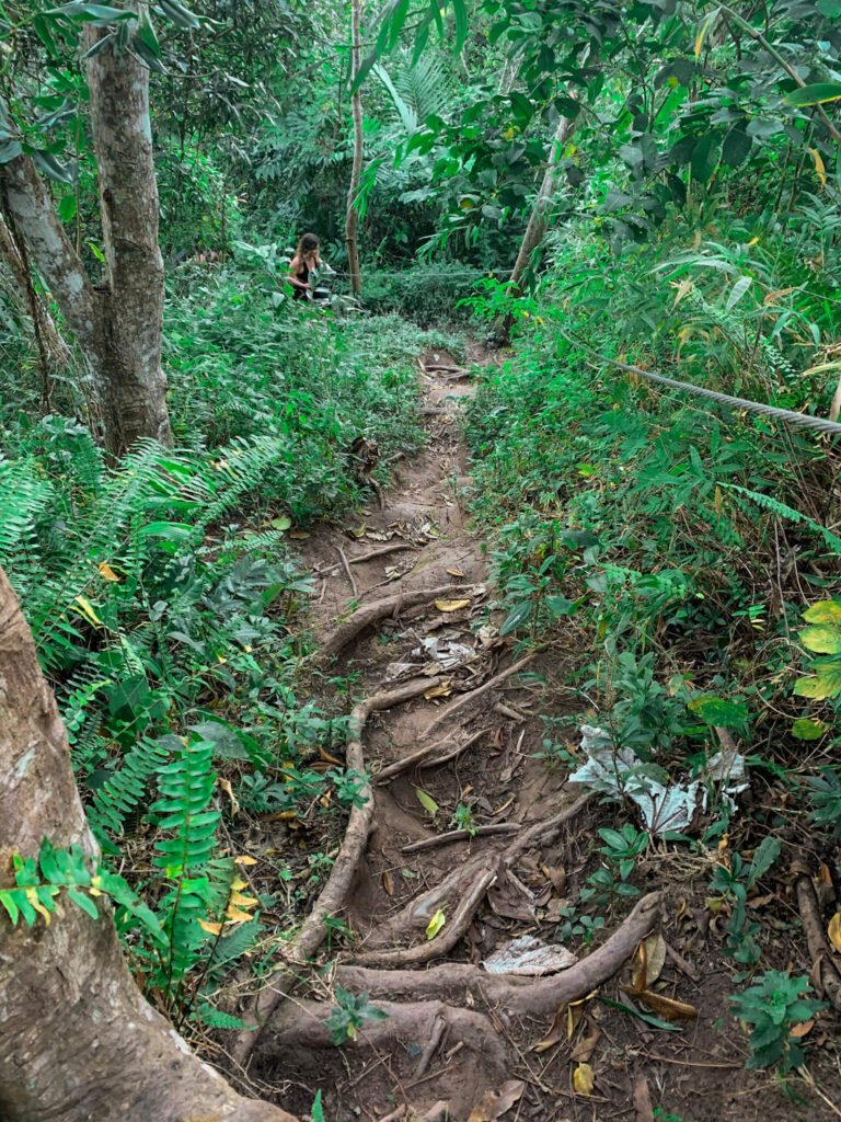 Cerro el Rodadero hike in Puerto Rico