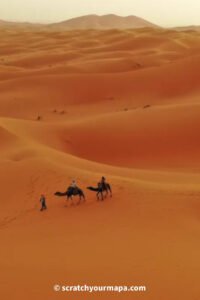 Read more about the article A Complete Guide to Traveling in Morocco