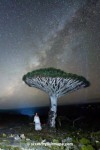 Read more about the article Visiting the Island of Socotra, Yemen: The Most Exotic Destination in the World