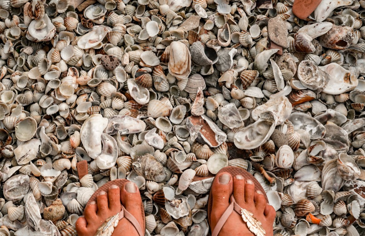 Seashell beach in Senegal
