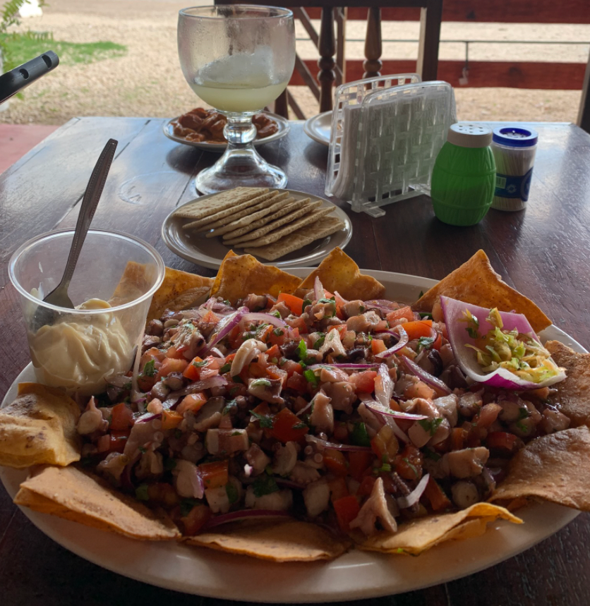 Ceviche, popular food in Mexico