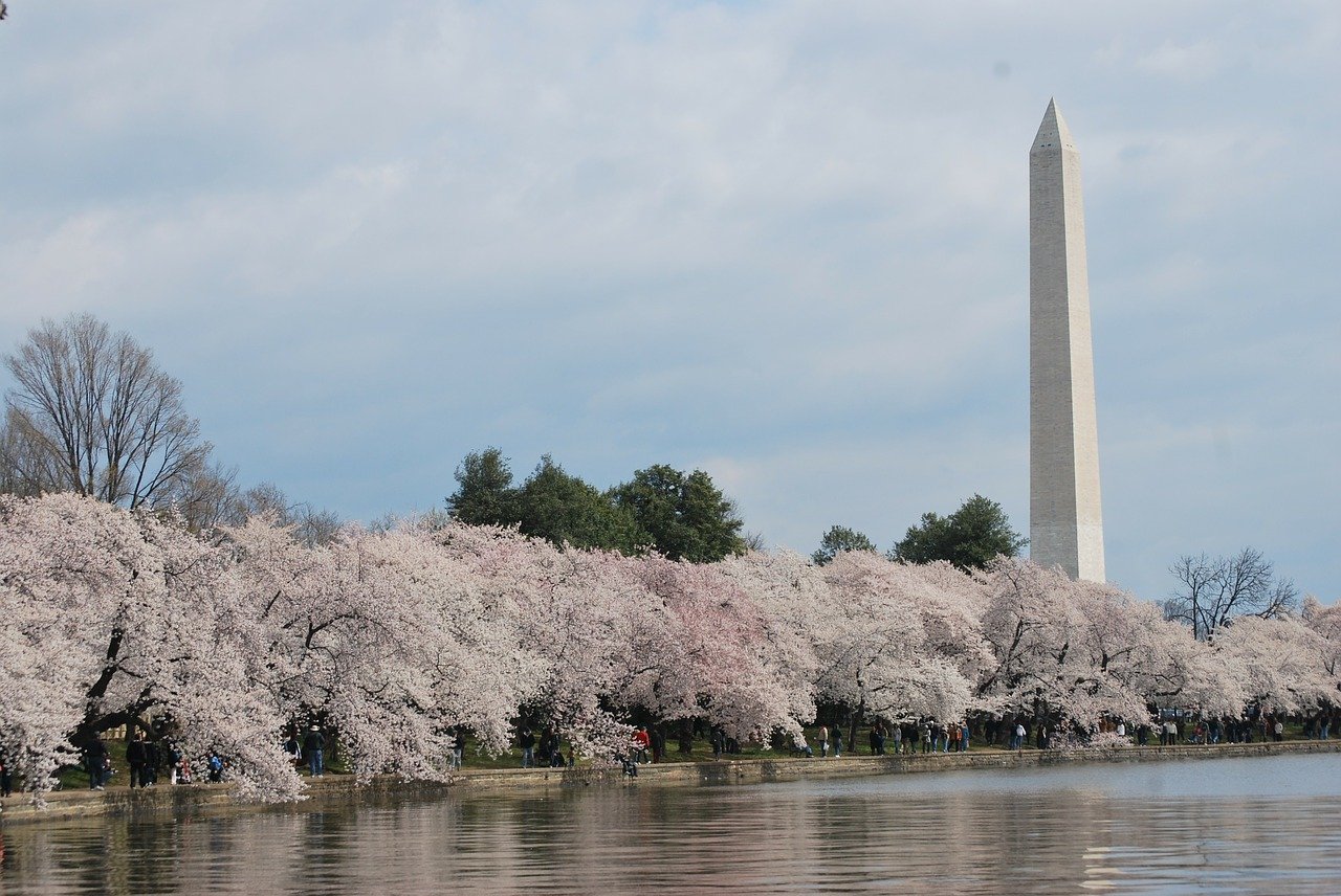 Washington DC- best place to travel in April