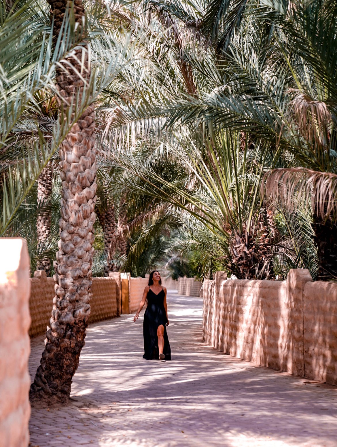 Al Ain Oasis, things to see in Abu Dhabi