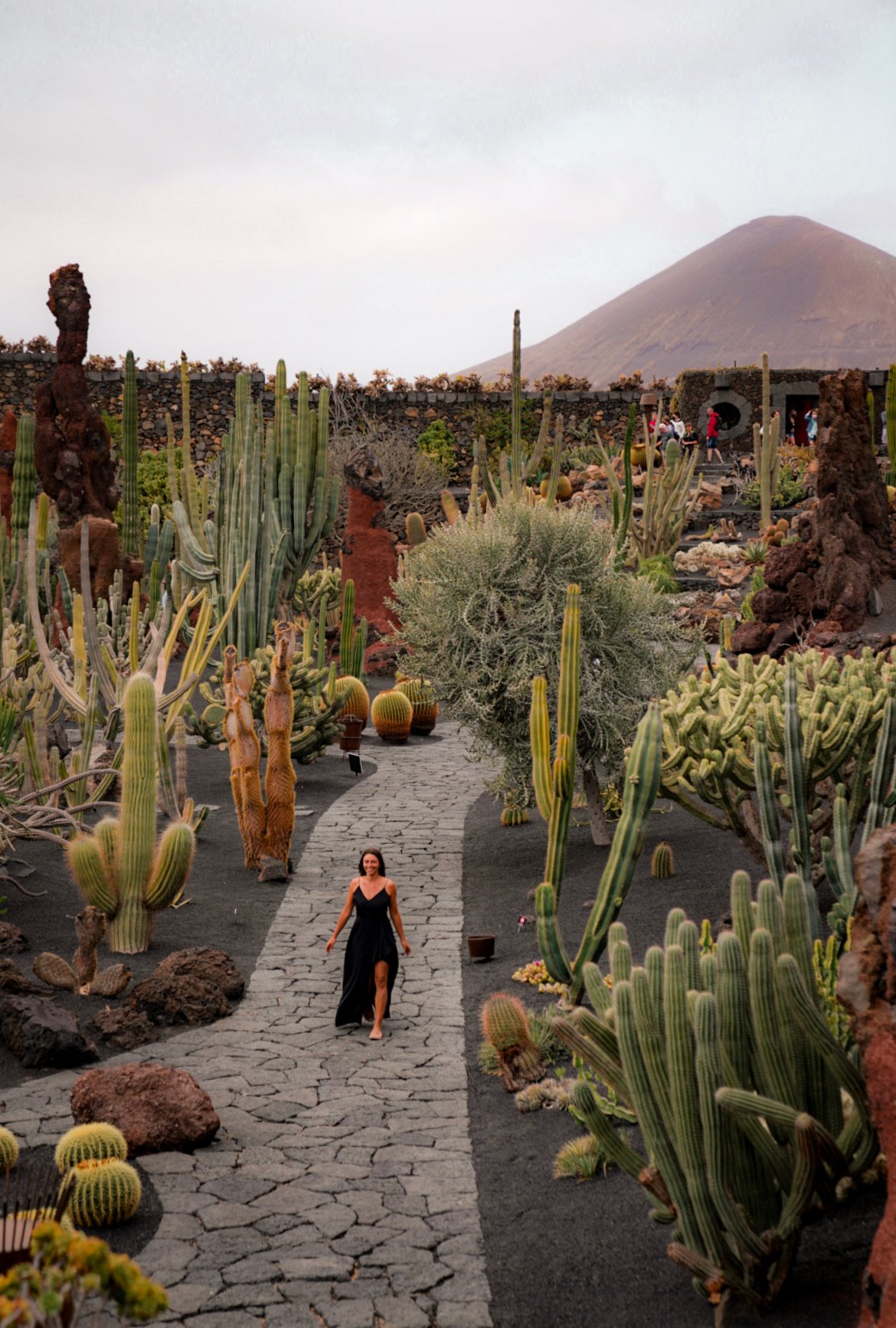 Cactus Garden, things to see in Lanzarote