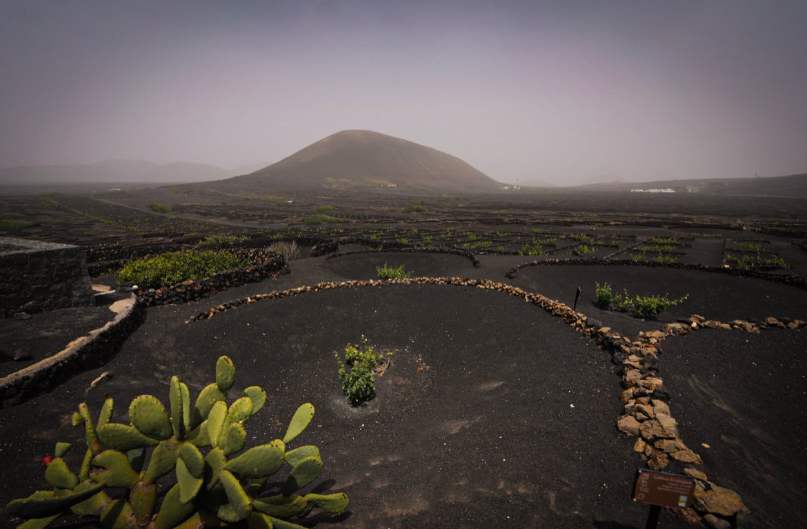 La Geria, things to see in Lanzarote in the Canary Islands