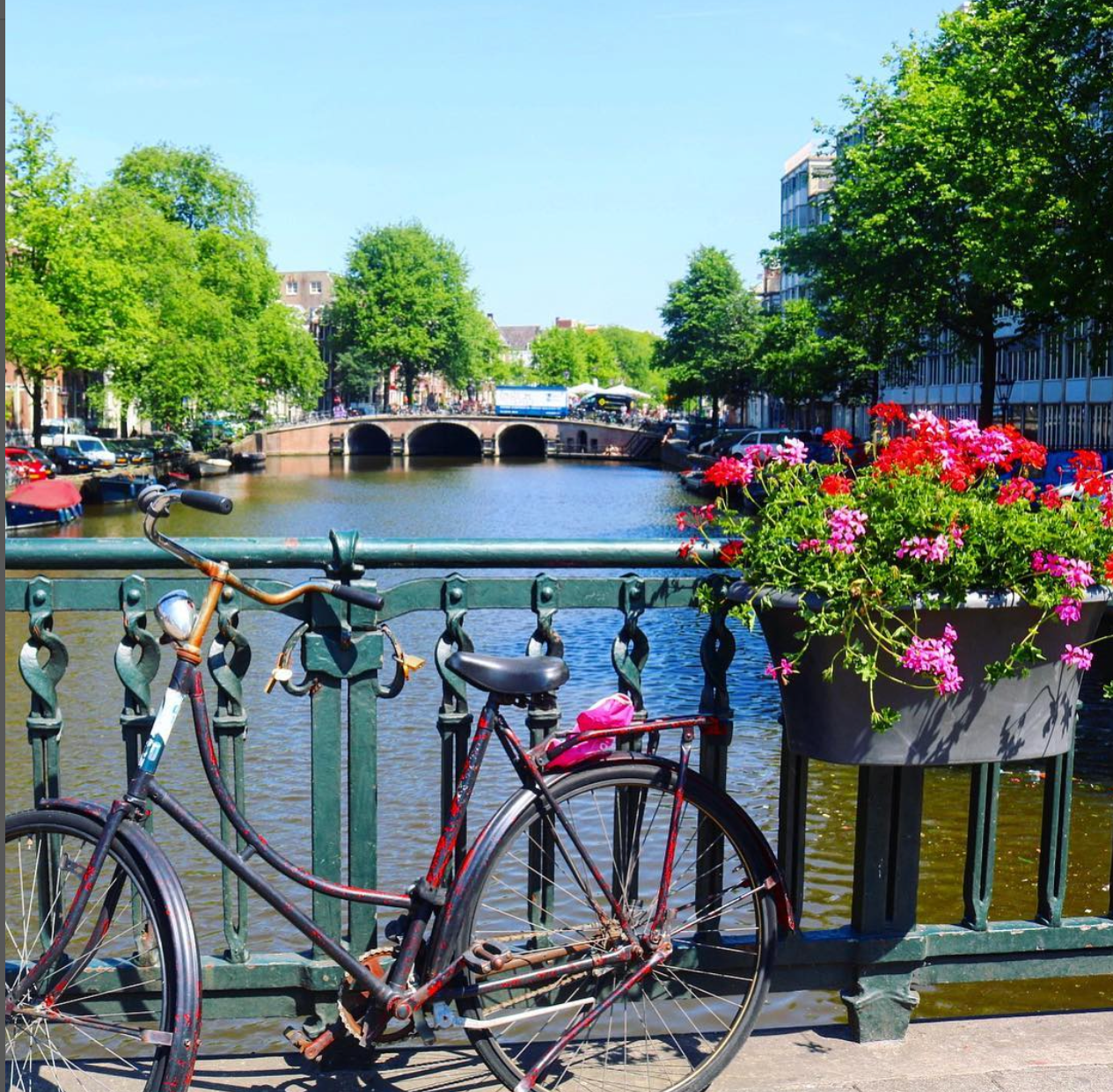 Amsterdam- best places to travel in August