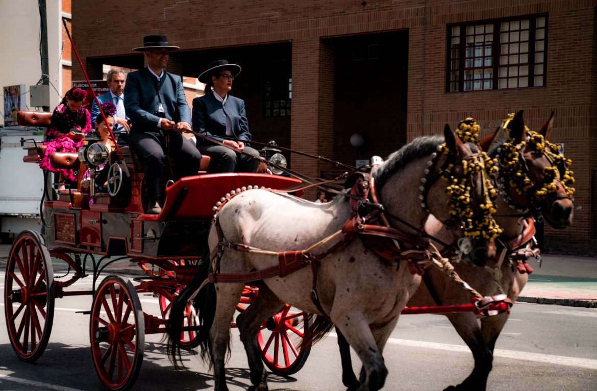 horse drawn carriages feria de abril
