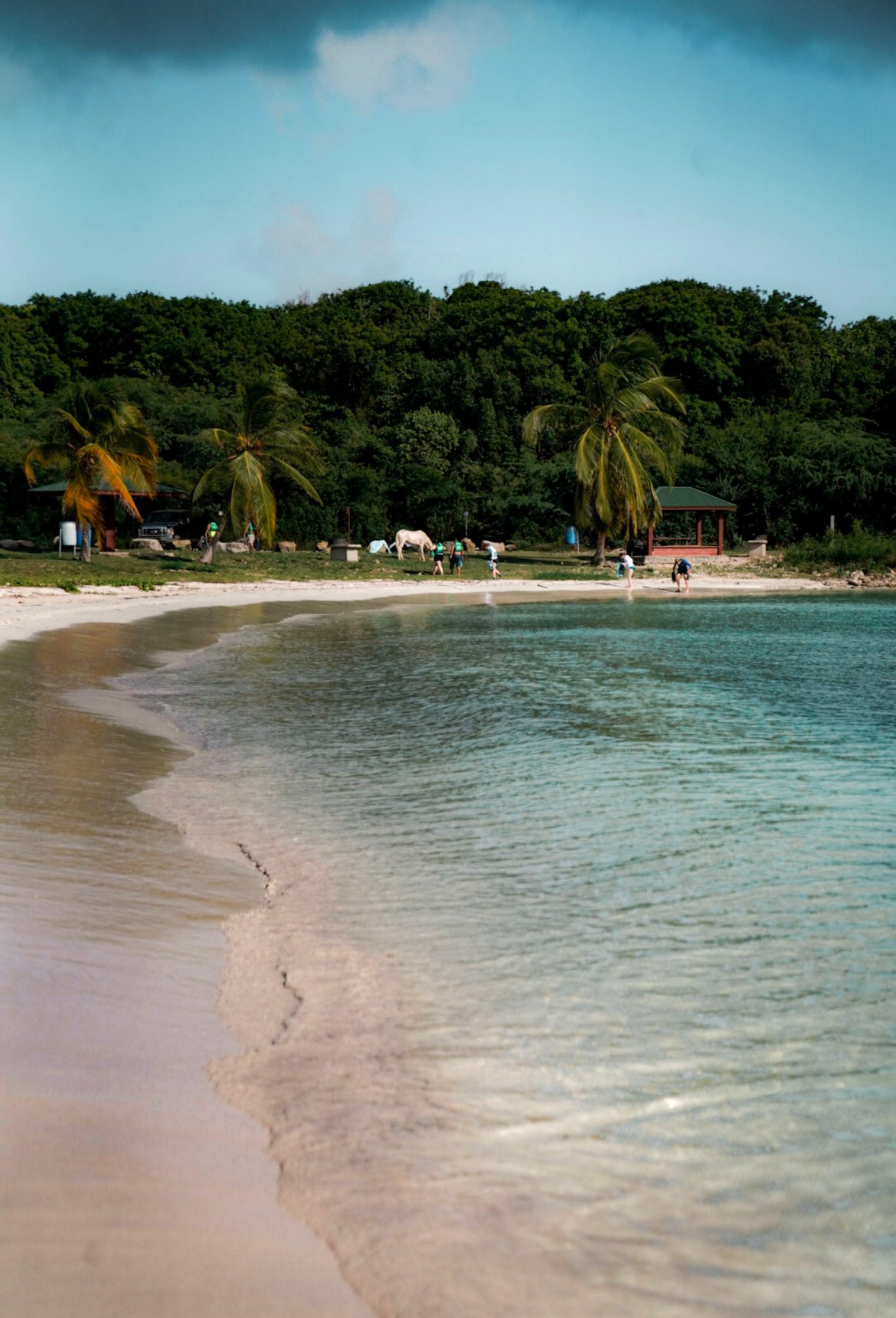 the best things to do in Vieques, Puerto Rico