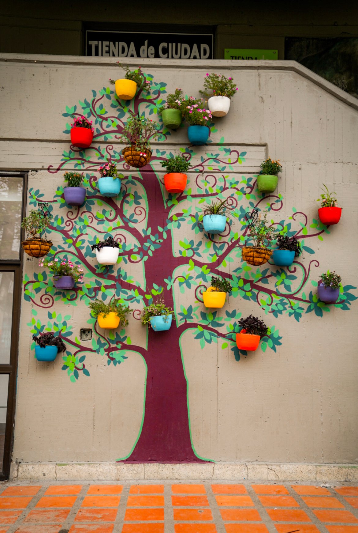 colorful tree in Medellin
