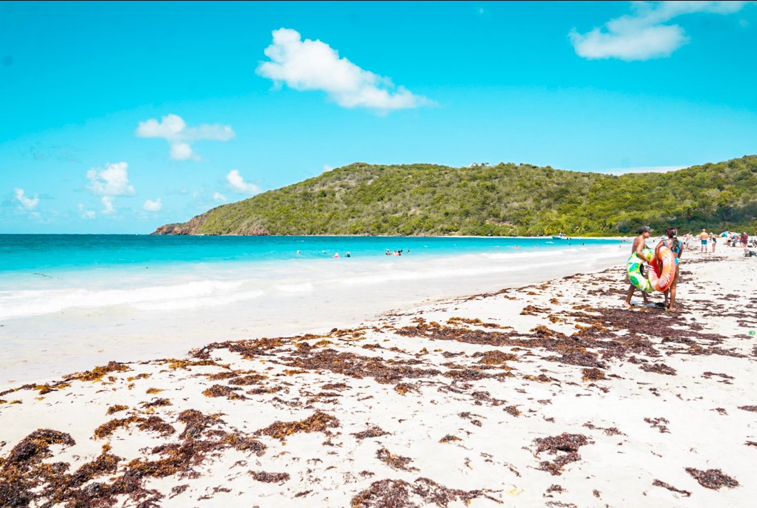 the best things to do in Culebra, Puerto Rico Pin