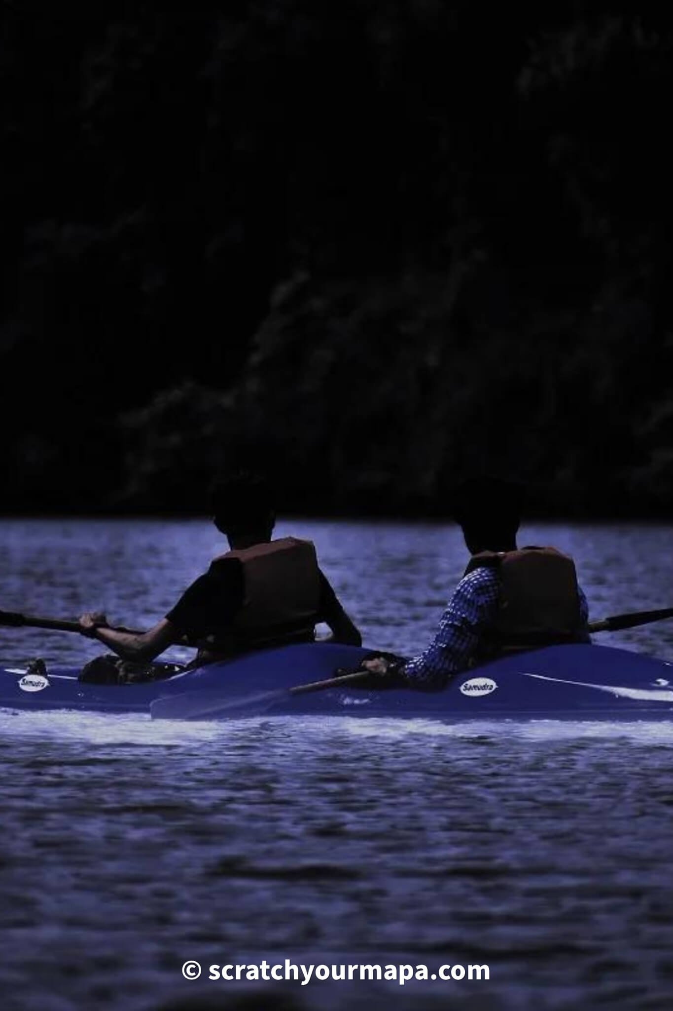 You are currently viewing How to See Bioluminescence in Puerto Rico