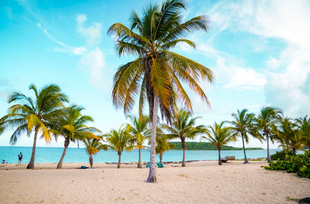 things to do in Vieques, best places to visit in Puerto Rico for first-time visitors